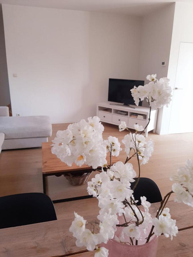 Luxe Duplex Appartement Mavi Gistel Kültér fotó